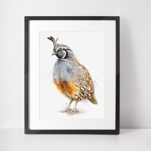 Watercolor Quail Wall Art Print, Unframed - Vibrant Nature-Inspired Home Decor - Picture 3 of 6